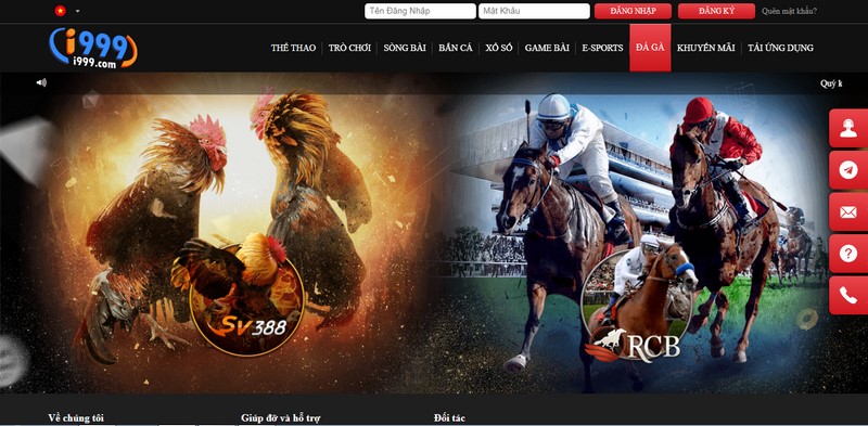 Nhiều thể loại cá cược phong phú và hấp dẫn